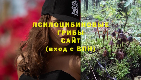 мяу мяу мука Арсеньев