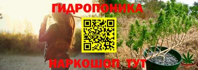 мдпв Тверь