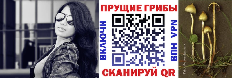 как найти закладки  Урюпинск  shop состав  Галлюциногенные грибы мицелий 