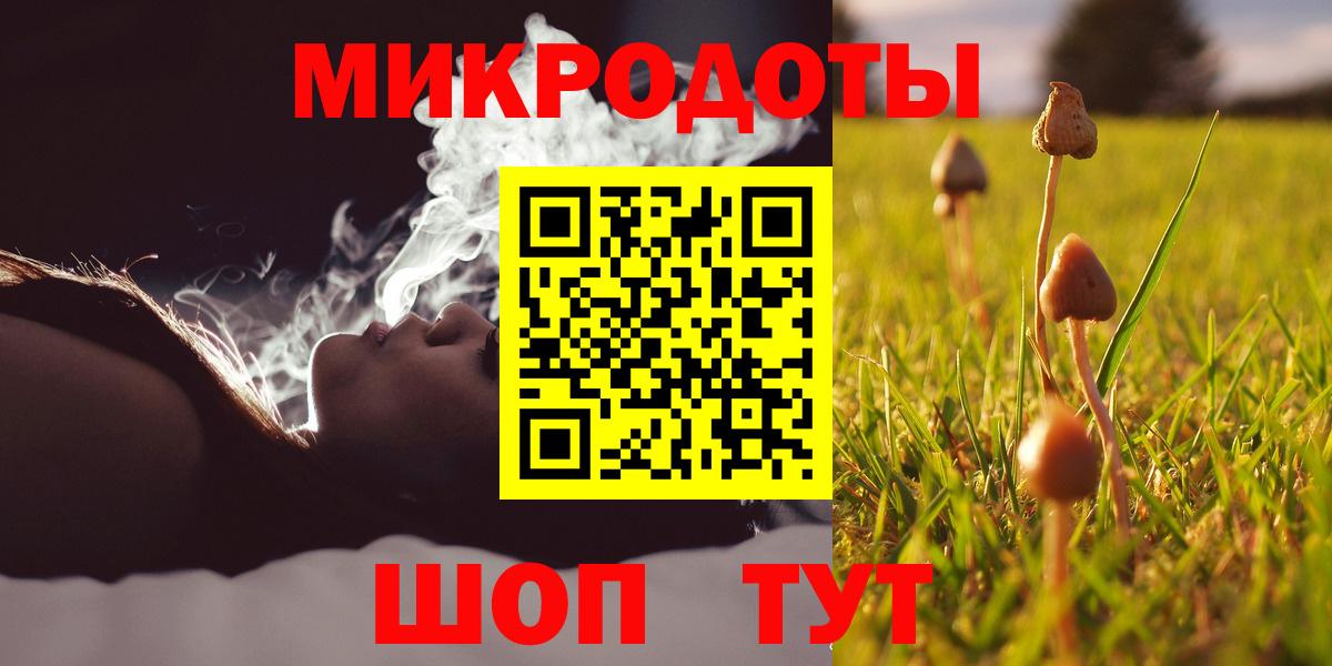 Урюпинск  Галлюциногенные грибы Psilocybe  Вход с VPN 