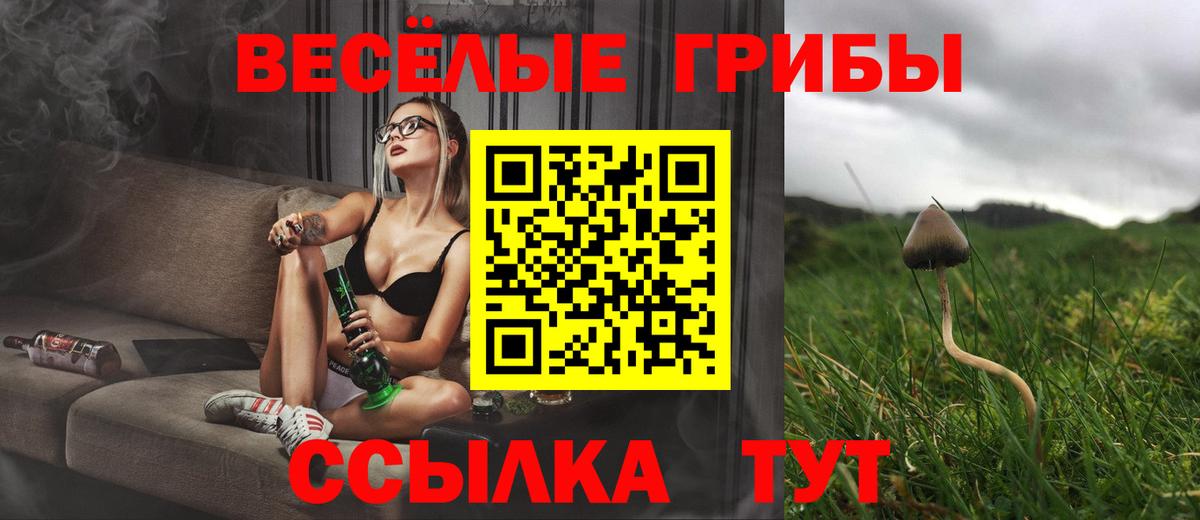 Галлюциногенные грибы Cubensis Урюпинск
